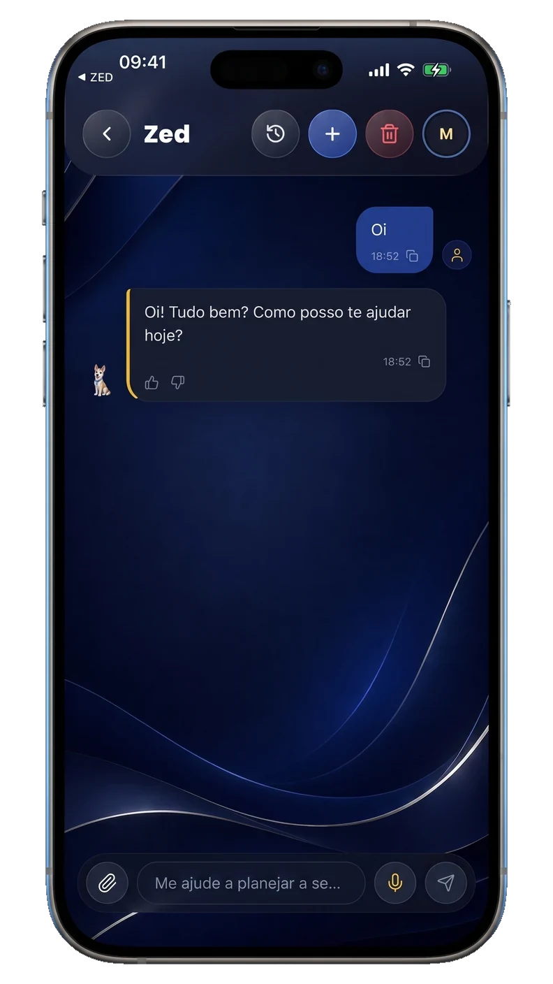 Tela de conversa do ZED, com a saudação do assistente